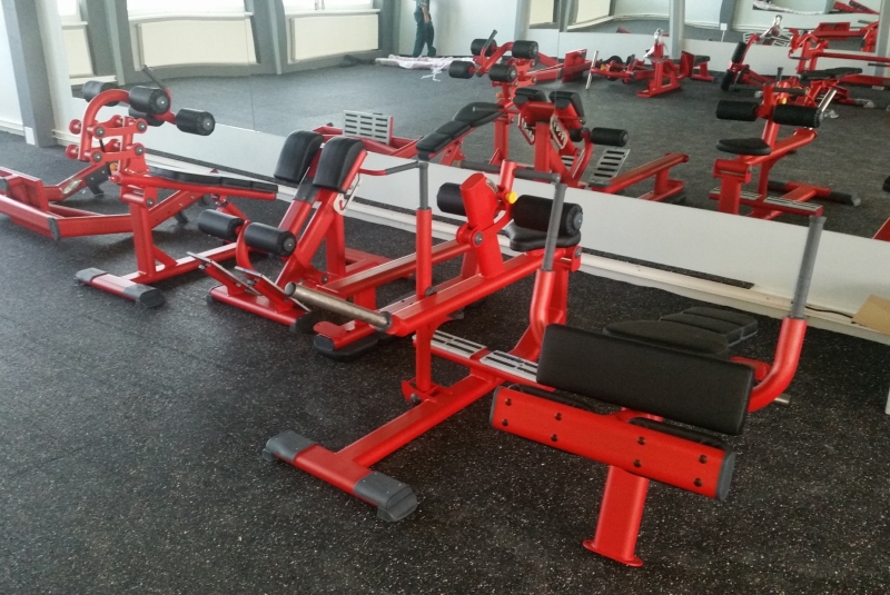 Grizly fitnes