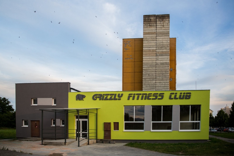 Grizly fitnes