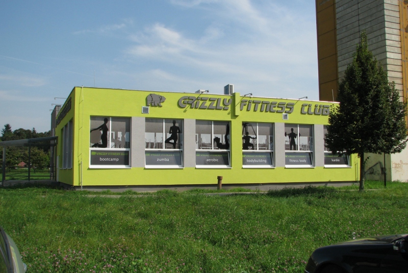 Grizly fitnes