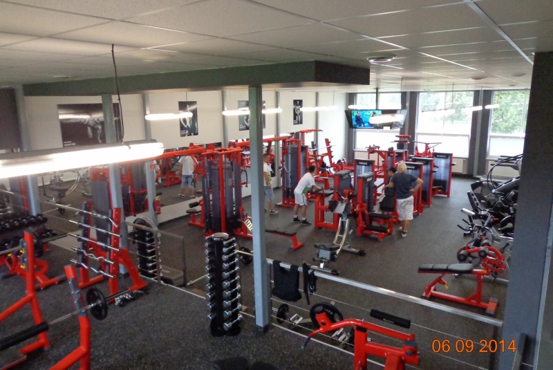 Grizly fitnes