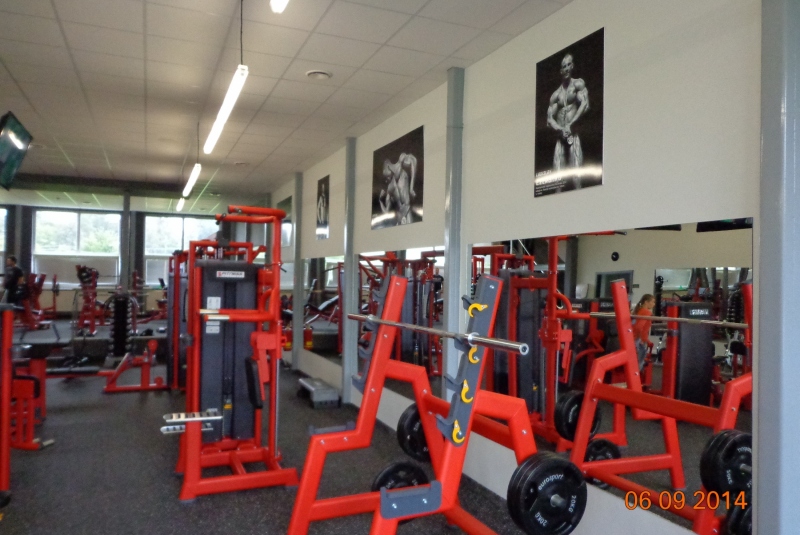 Grizly fitnes