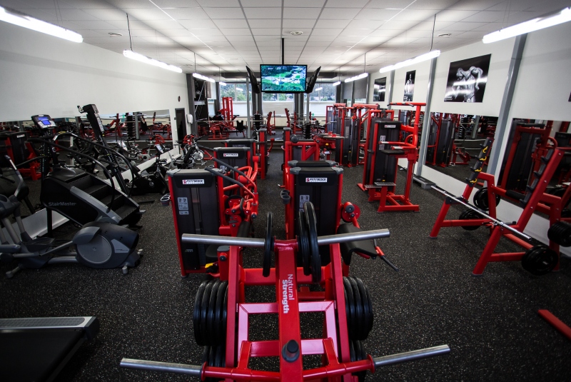 Grizly fitnes